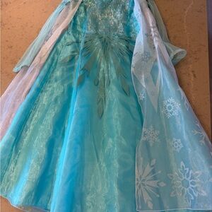 Frozen Princess Costume - Blue